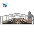 Steel Structure Construction Design  Poultry Farming For Pig Shed